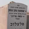 חדשות 24
