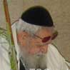 Yossi Shechter - Etrog