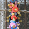 חדשות 24