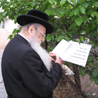 טוג