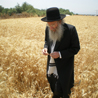 טוג