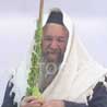 Yossi Shechter - Etrog